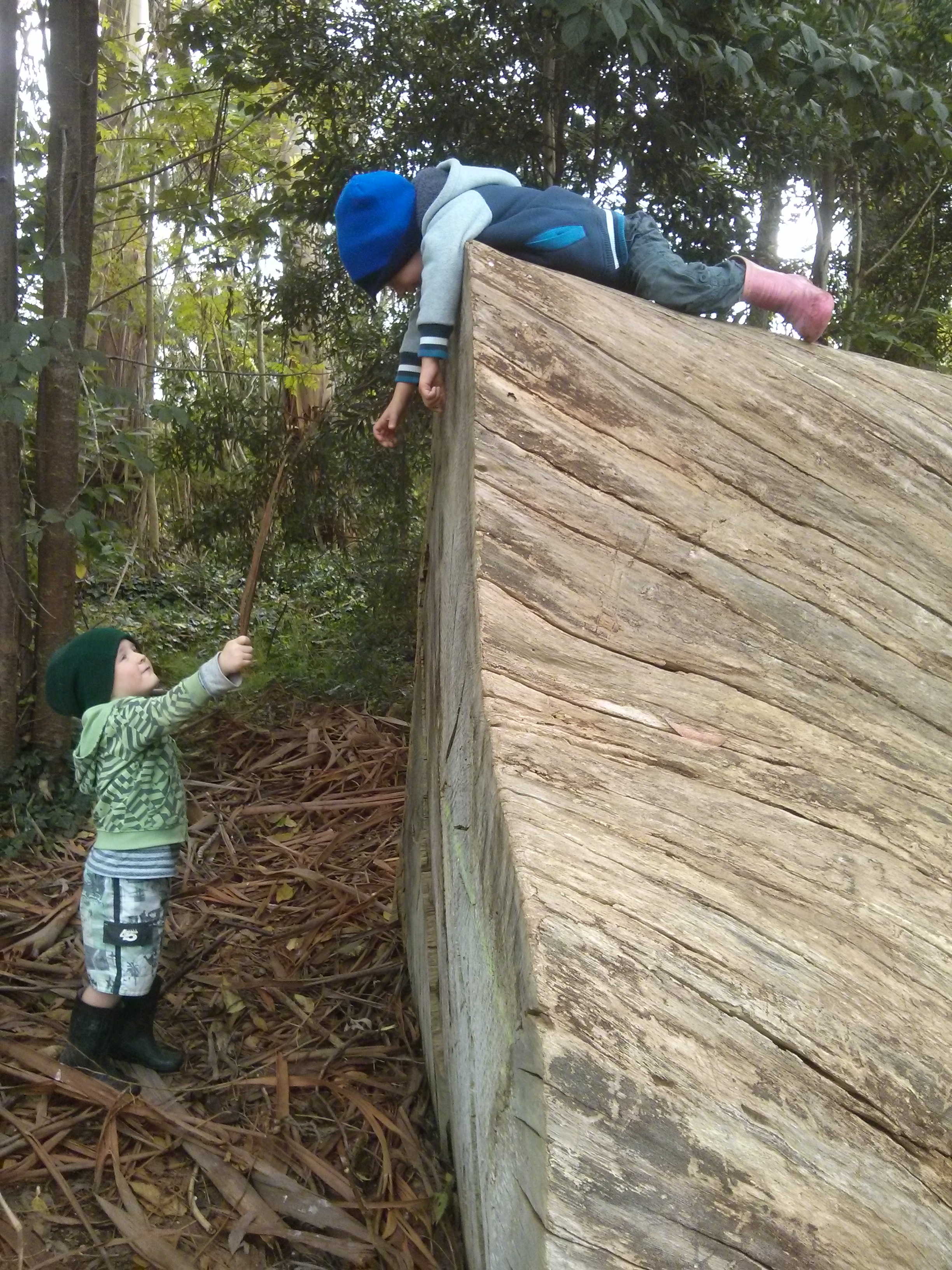 At the Gums