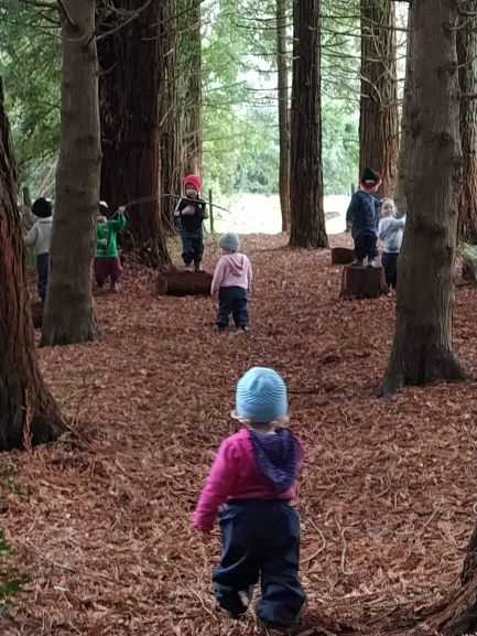 Bush Walk