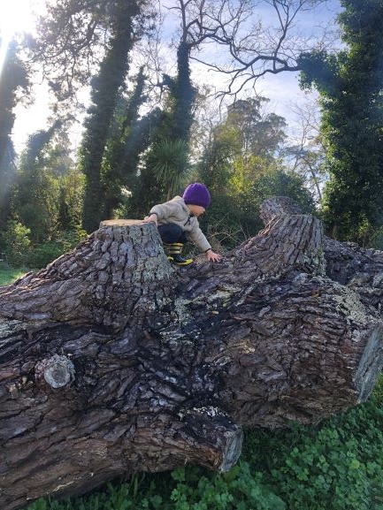 Climbing