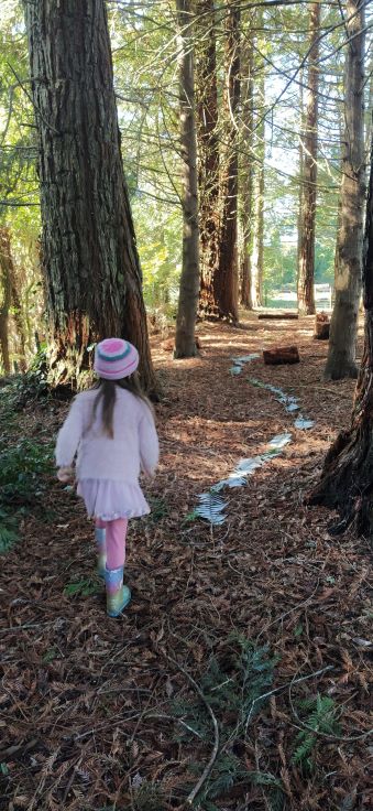 Bush Walk