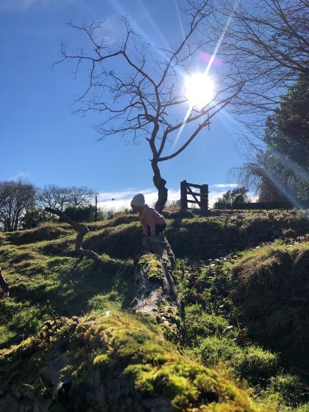 Climbing