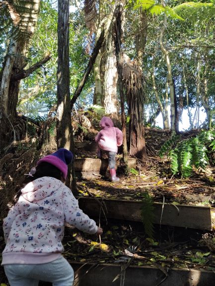 Bushwalk