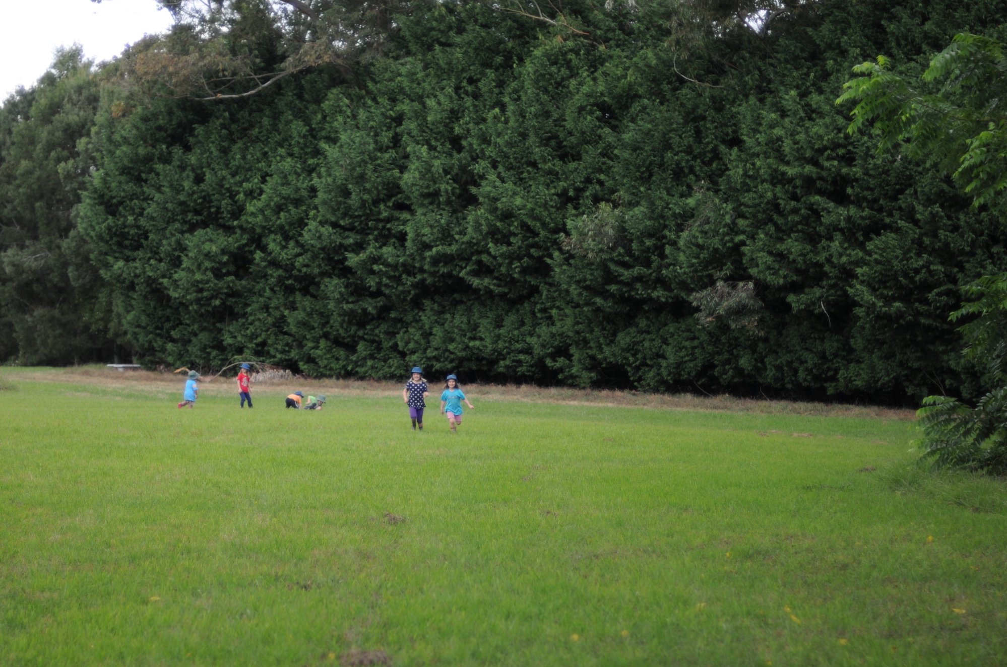 backpaddock