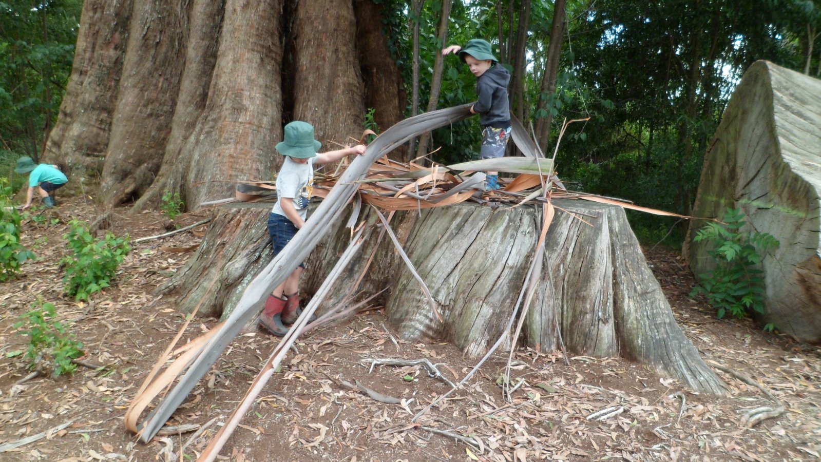 busy-at-the-gums