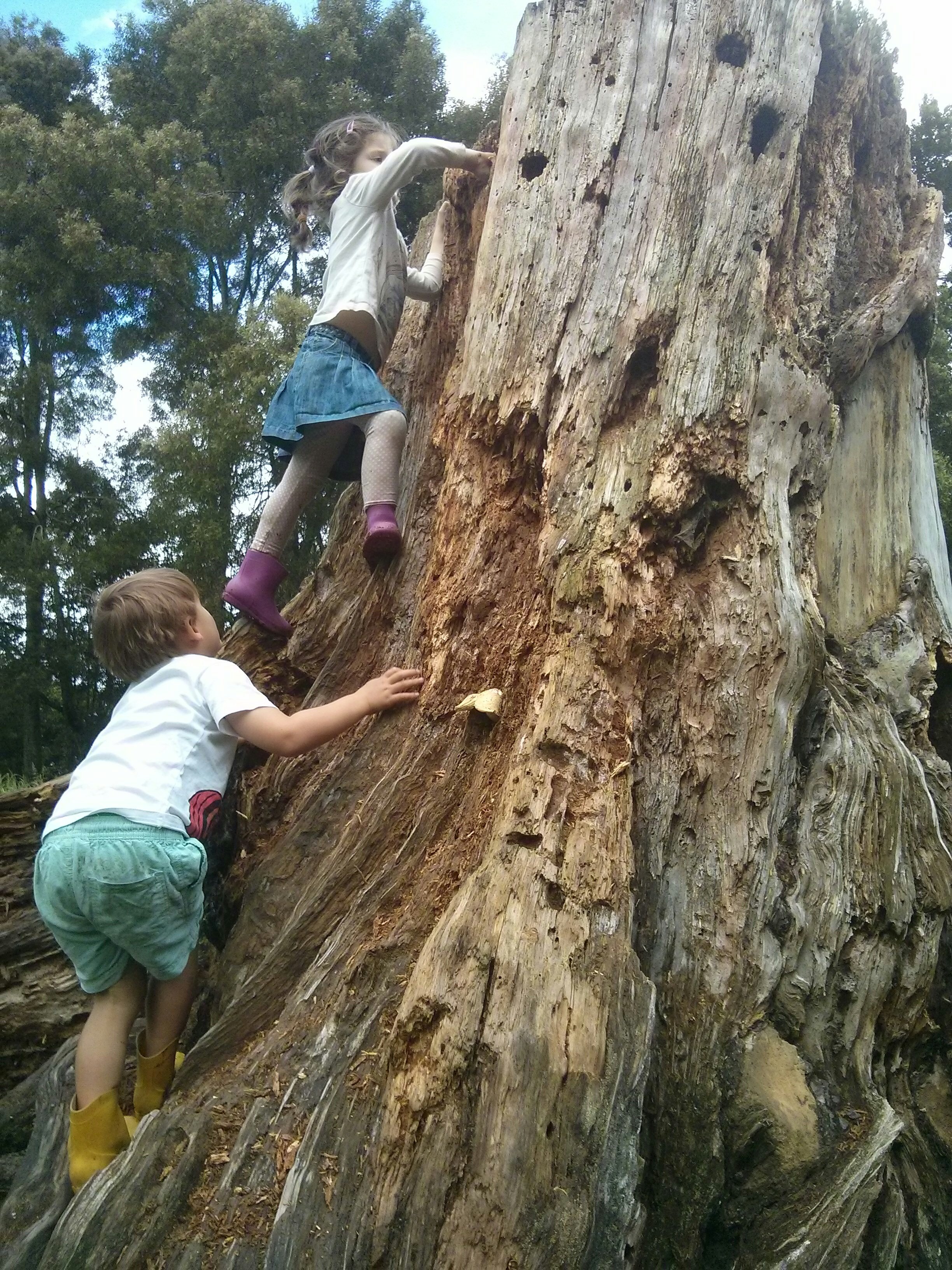 climbing