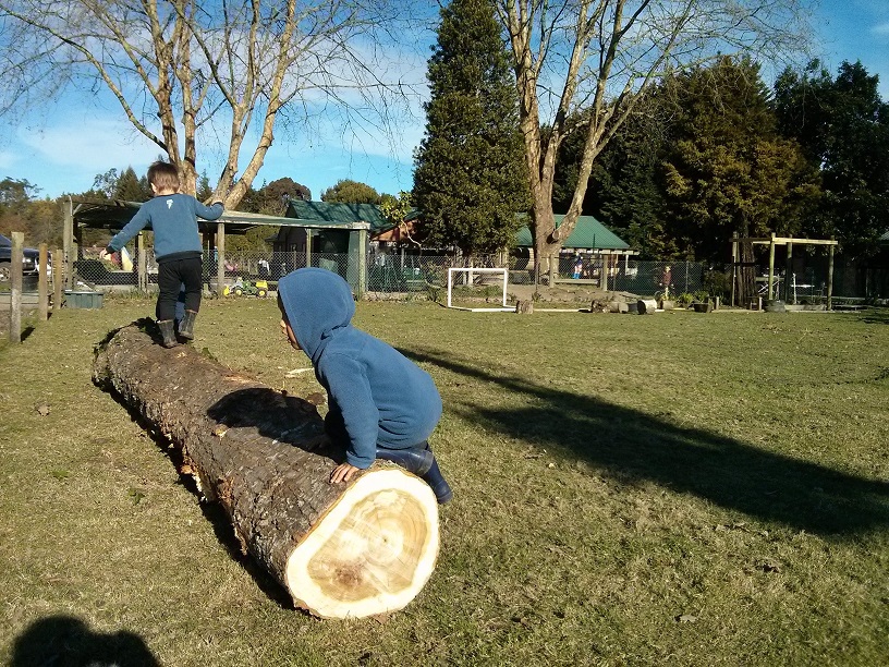 log