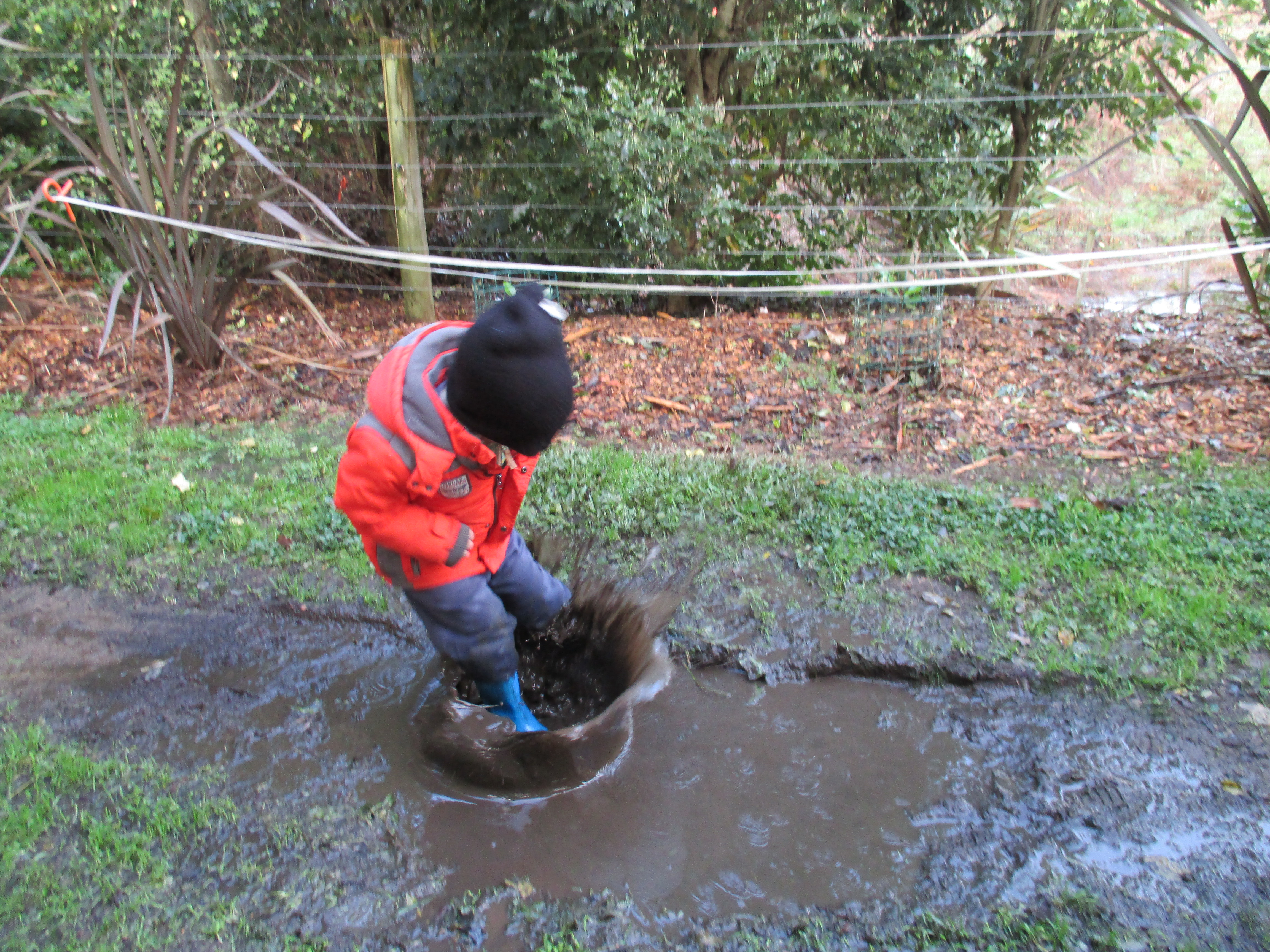 Muddy puddle