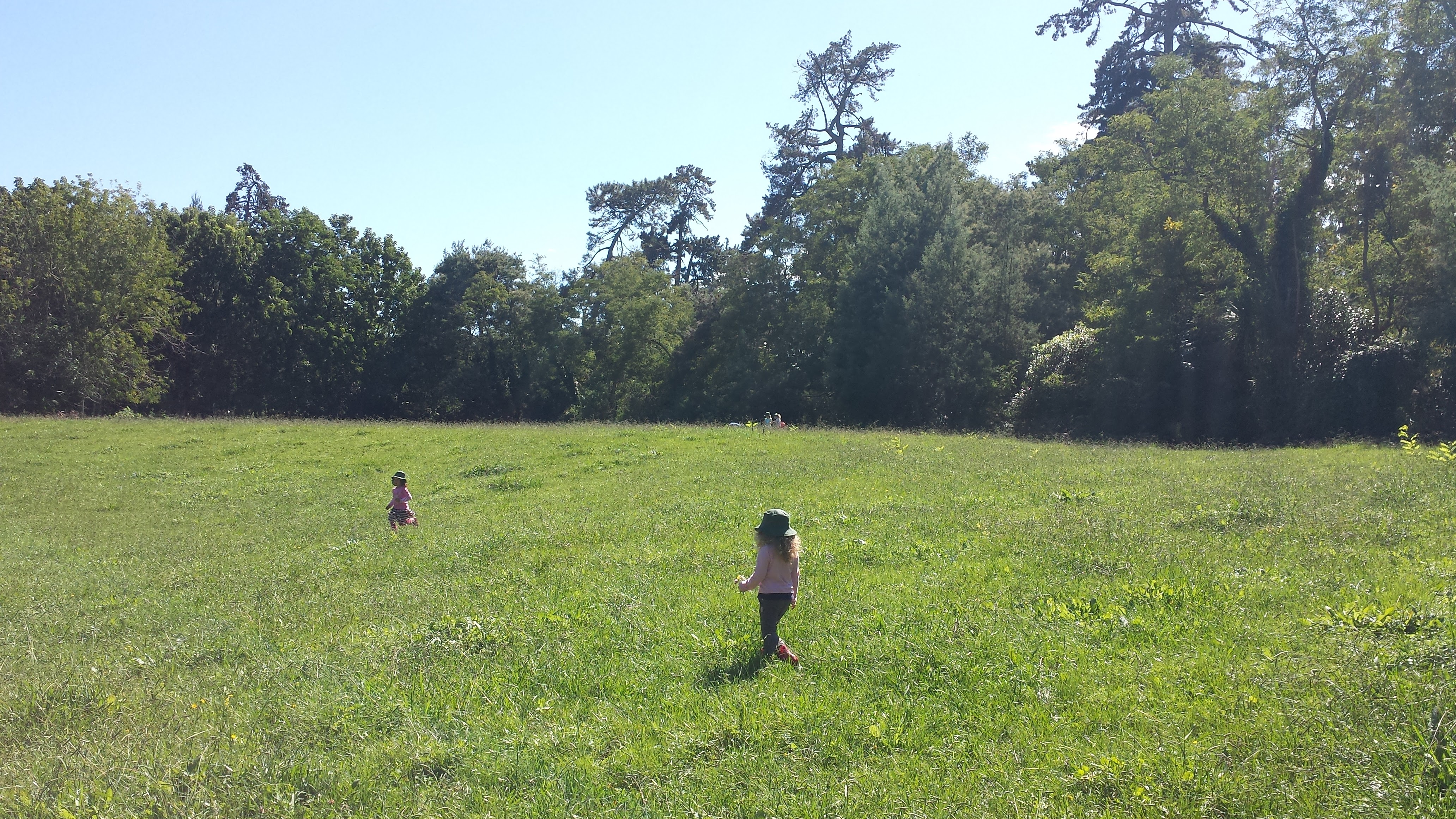 Picking wildflowers