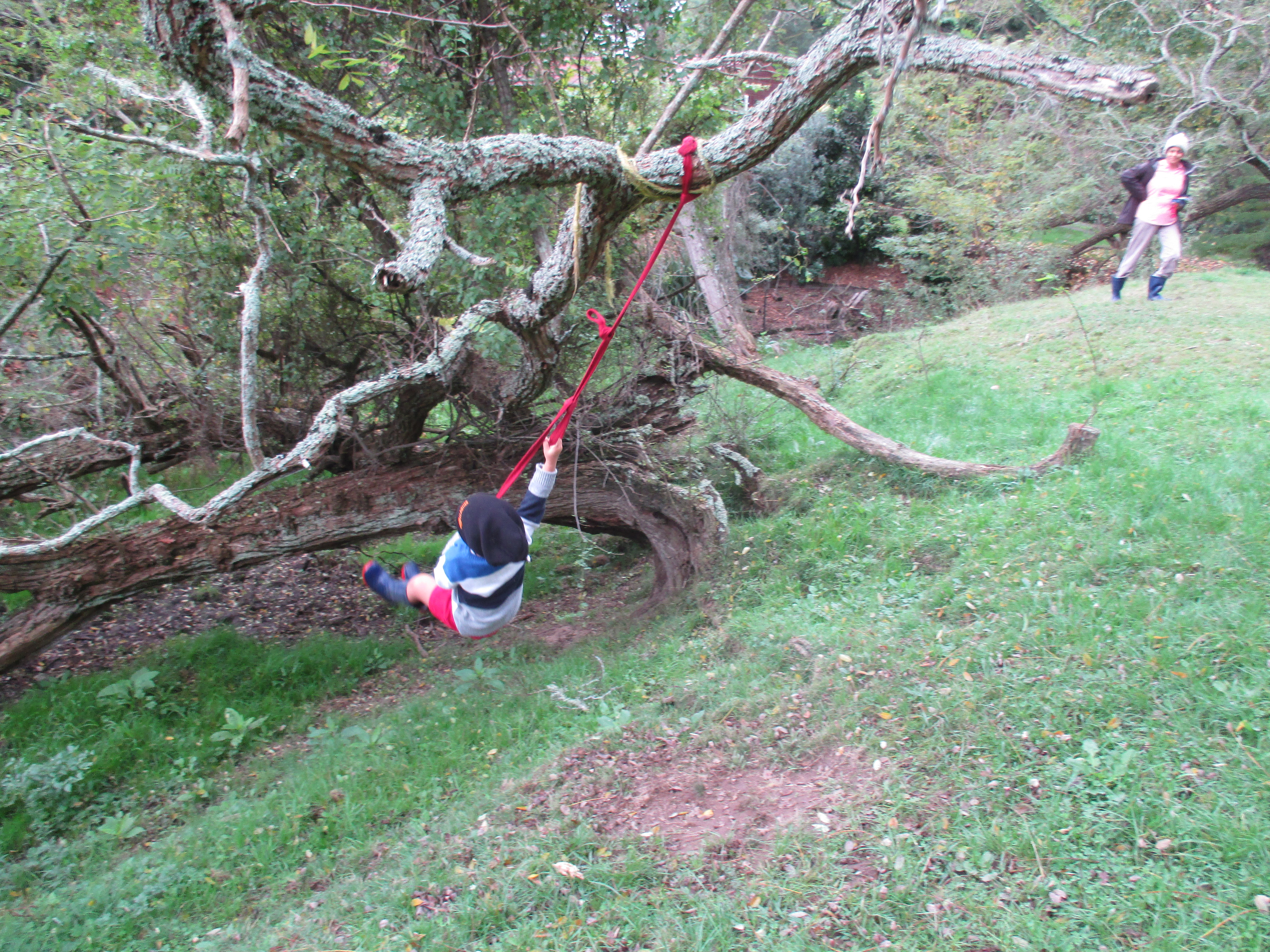 Swinging