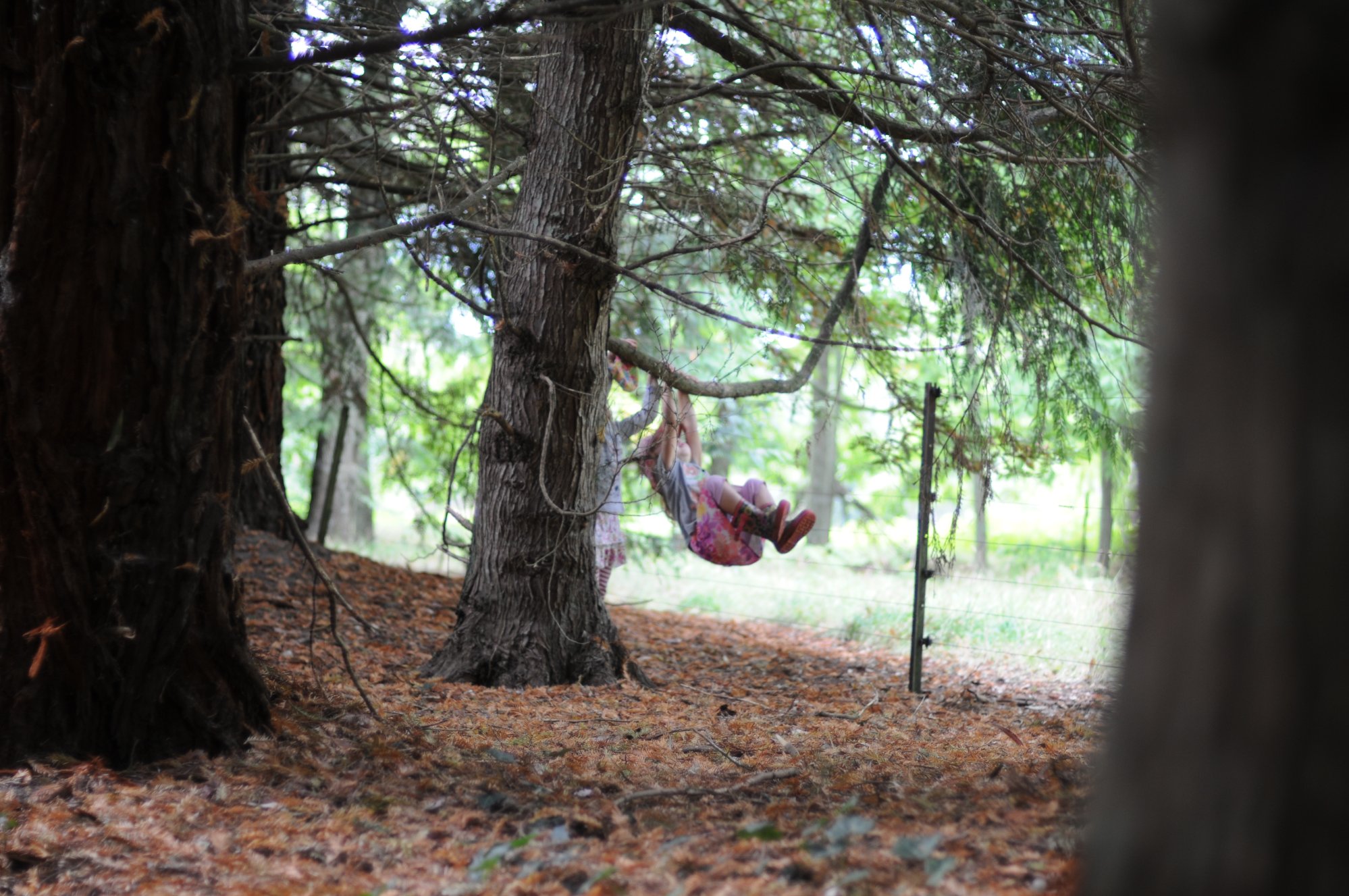swinging1