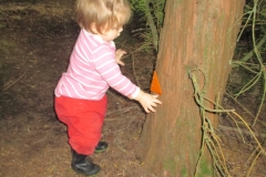 Babies-on-the-bushwalk