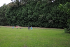 backpaddock