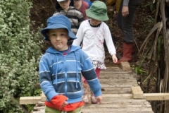 bridge crossing1