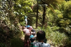 bushwalk