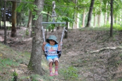 flyingfox1