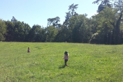 Picking wildflowers