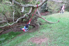 Swinging