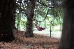 swinging1
