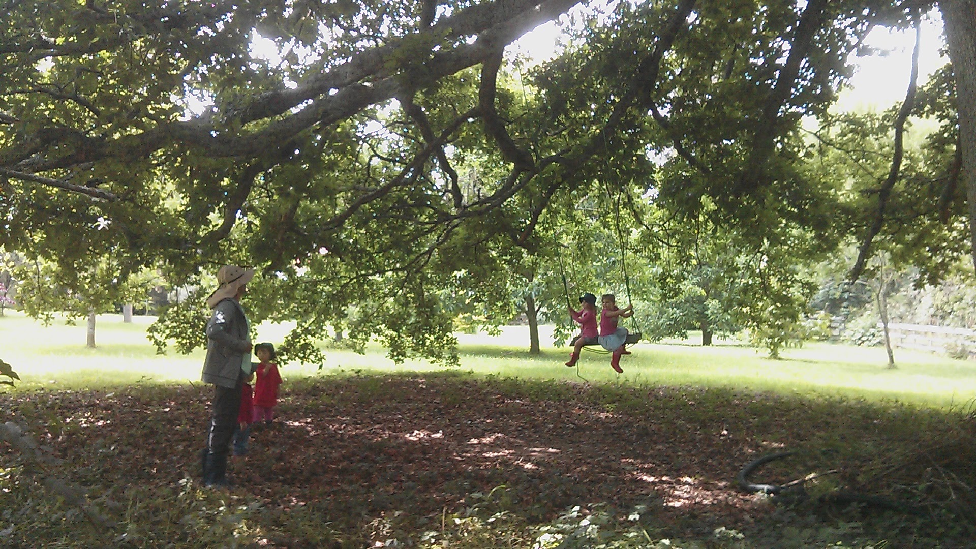 Under the oaks