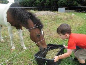 feeding gilbert