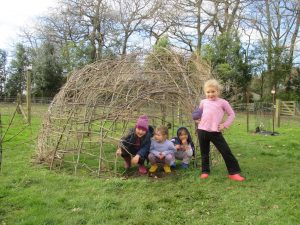 willow-dome