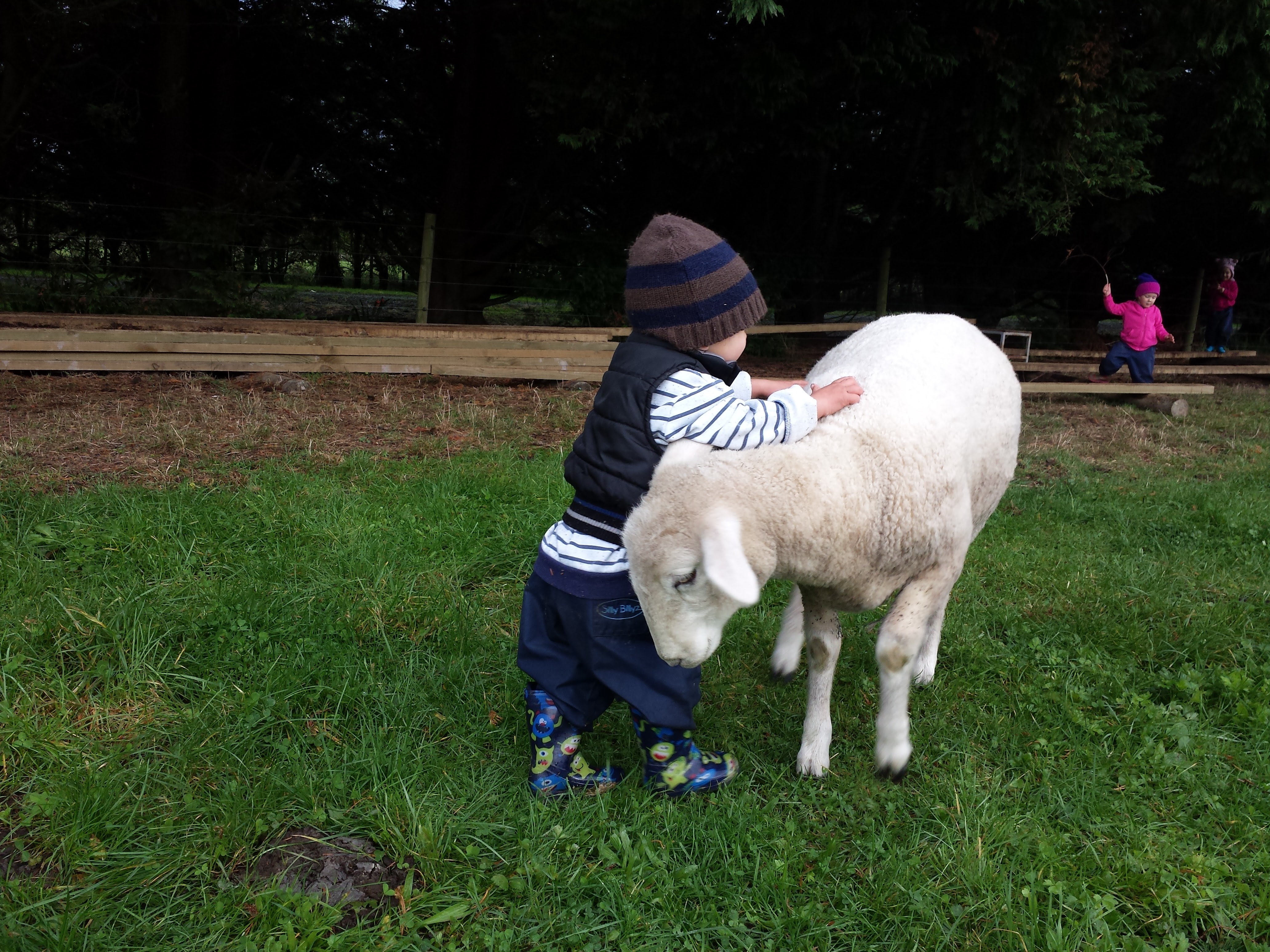 lamby