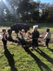 Feeding Pony