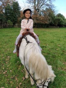Pony