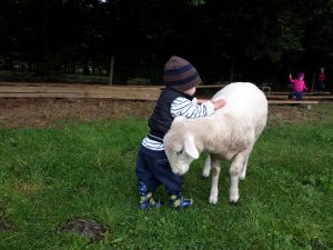 lamby
